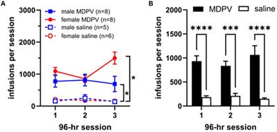 Effects of repeated binge intake of the pyrovalerone cathinone derivative 3,4-methylenedioxypyrovalerone on prefrontal cytokine levels in rats – a preliminary study